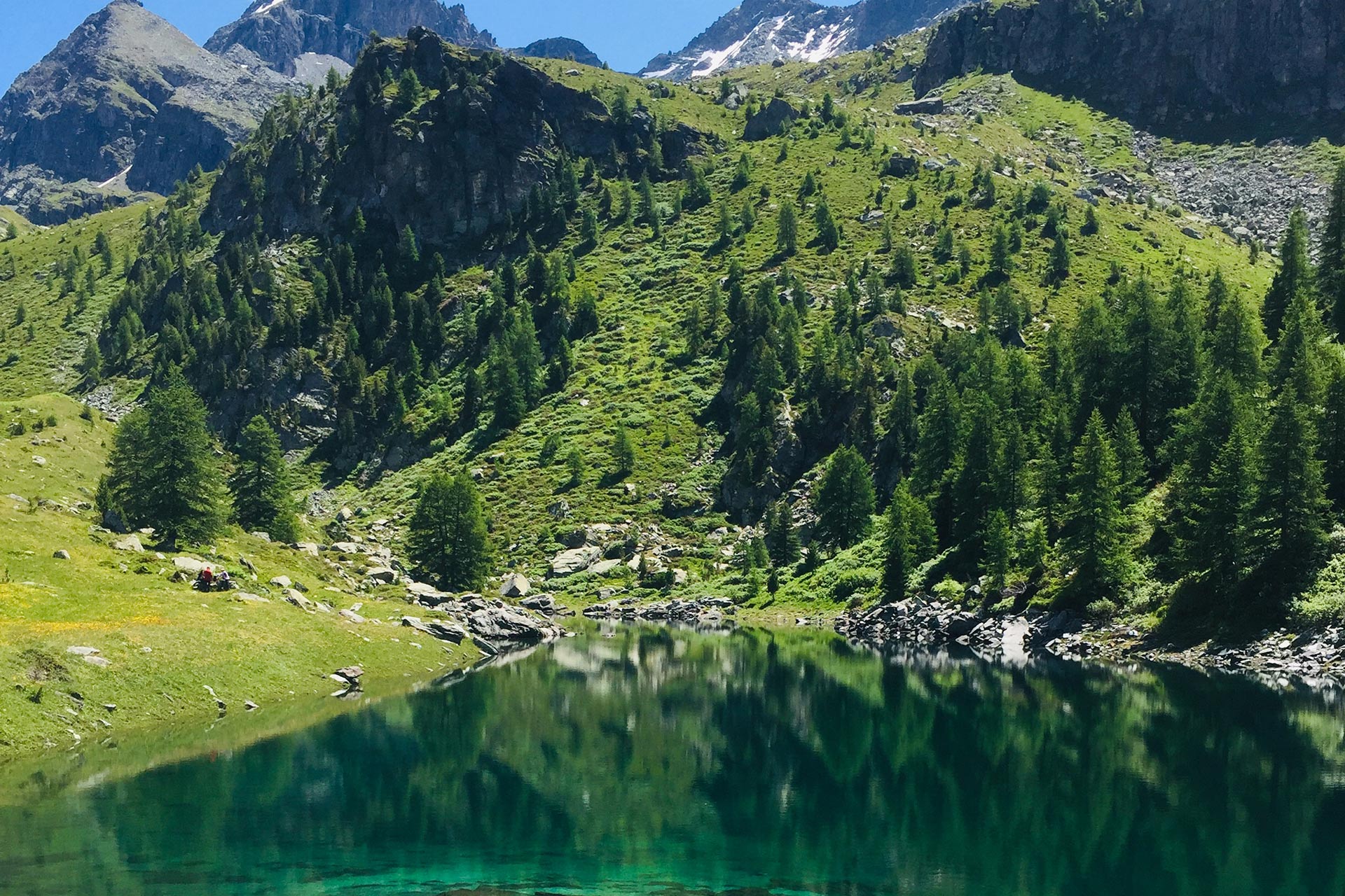 champoluc hotel
